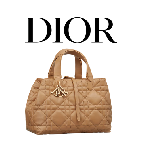 DIOR Toujours 미디엄 백