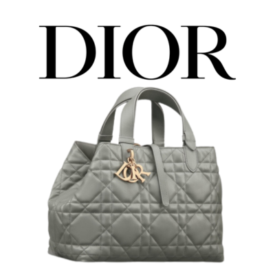 DIOR Toujours 미디엄 백