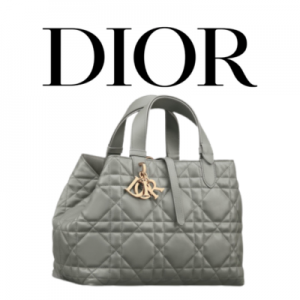DIOR Toujours 미디엄 백