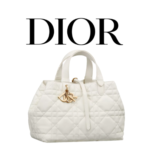 DIOR Toujours 미디엄 백