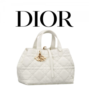 DIOR Toujours 미디엄 백