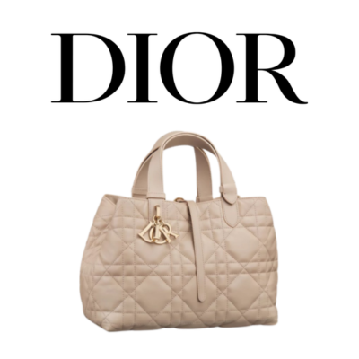 DIOR Toujours 스몰 백