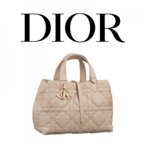 DIOR Toujours 스몰 백