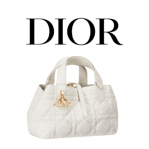 DIOR Toujours 스몰 백