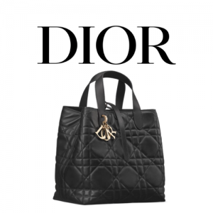 DIOR Toujours 미디엄 버티컬 토트백