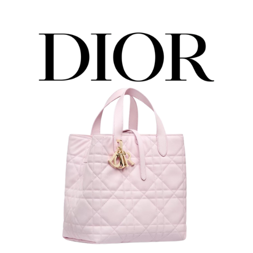 DIOR Toujours 미디엄 버티컬 토트백