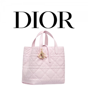 DIOR Toujours 미디엄 버티컬 토트백
