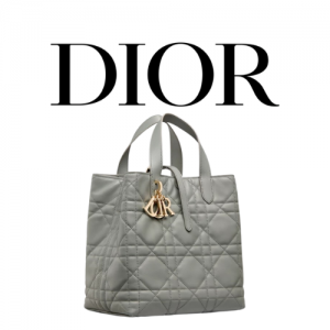 DIOR Toujours 미디엄 버티컬 토트백