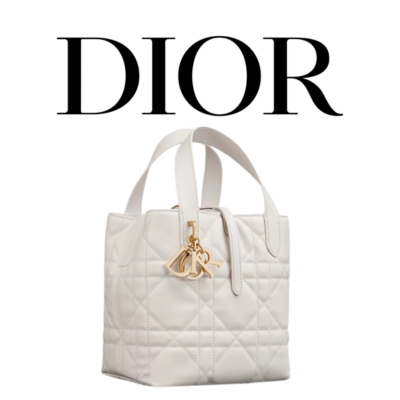 DIOR Toujours 미디엄 버티컬 토트백