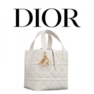 DIOR Toujours 미디엄 버티컬 토트백