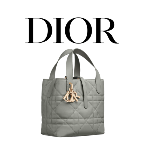 DIOR Toujours 스몰 버티컬 토트백