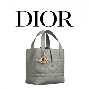 DIOR Toujours 스몰 버티컬 토트백