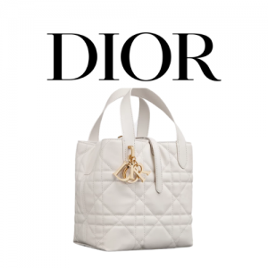 Dior Toujours 스몰 버티컬 토트백
