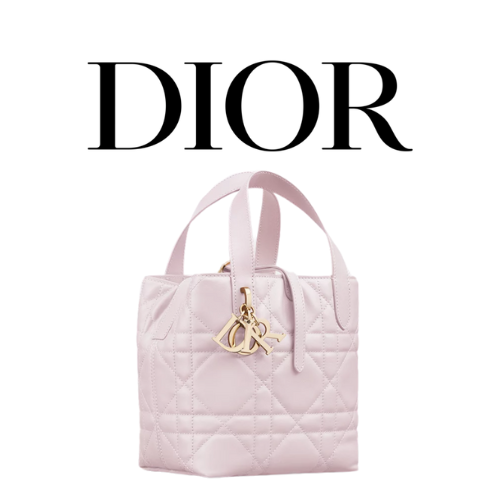 Dior Toujours 스몰 버티컬 토트백
