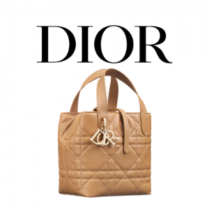 Dior Toujours 스몰 버티컬 토트백