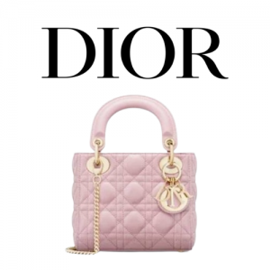 DIOR Lady Dior 미니백