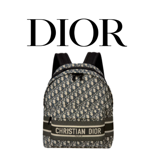 DIOR Travel 백팩