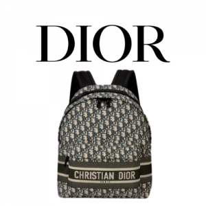 DIOR Travel 백팩