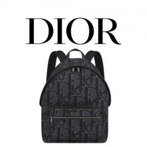 DIOR Rider 백 팩