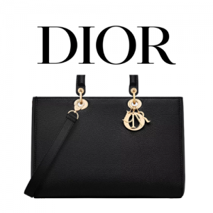 DIOR Lady D-Sire 라지 백