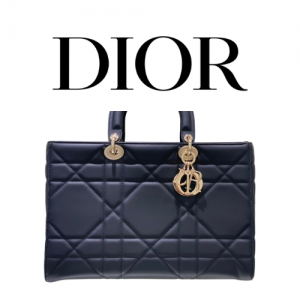DIOR Lady D-Sire 라지 백