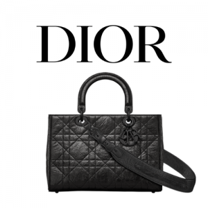 DIOR Lady D-Sire My ABCDior 미디엄 백