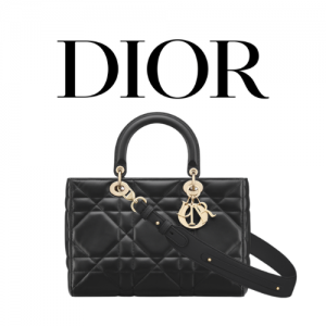 DIOR Lady D-Sire My ABCDior 미디엄 백
