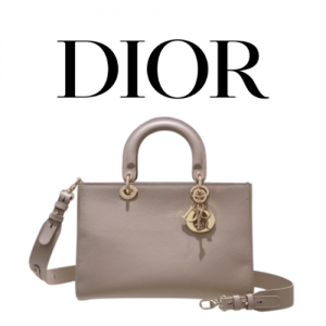 DIOR Lady D-Sire My ABCDior 미디엄 백