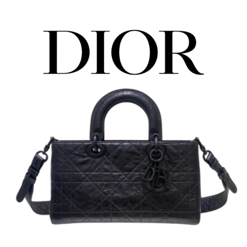 DIOR Lady D-Sire My ABCDior 스몰 백