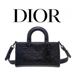 DIOR Lady D-Sire My ABCDior 스몰 백