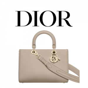 DIOR Lady D-Sire My ABCDior 스몰 백
