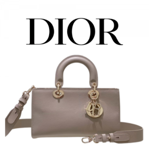 DIOR Lady D-Sire My ABCDior 스몰 백