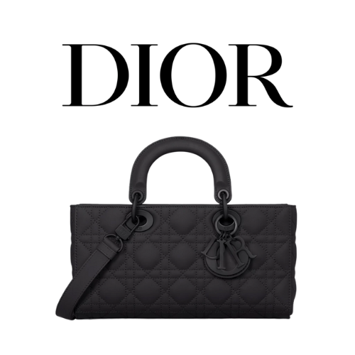 DIOR Lady D-Joy 미디엄 백
