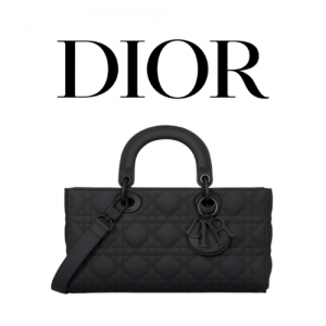 DIOR Lady D-Joy 미디엄 백
