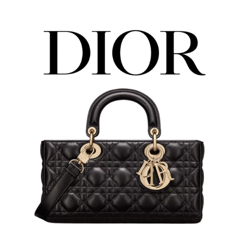 DIOR Lady D-Joy 미디엄 백