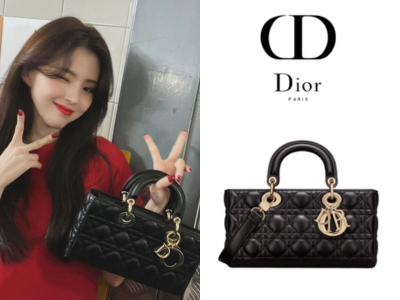 DIOR Lady D-Joy 미디엄 백