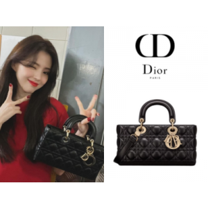 DIOR Lady D-Joy 미디엄 백