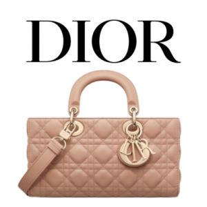 DIOR Lady D-Joy 미디엄 백
