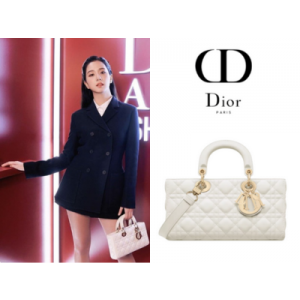 DIOR Lady D-Joy 미디엄 백