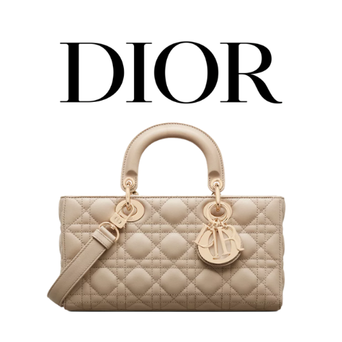 DIOR Lady D-Joy 미디엄 백