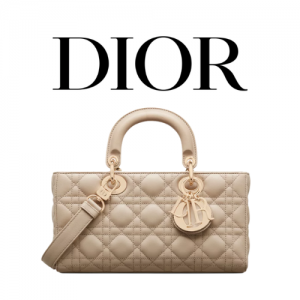 DIOR Lady D-Joy 미디엄 백