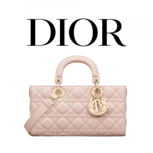 DIOR Lady D-Joy 미디엄 백