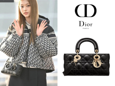 DIOR Lady D-Joy 스몰 백