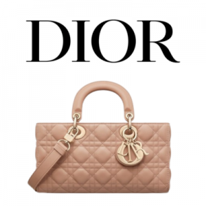 DIOR Lady D-Joy 스몰 백