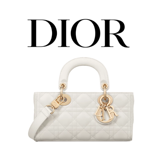 DIOR Lady D-Joy 스몰 백