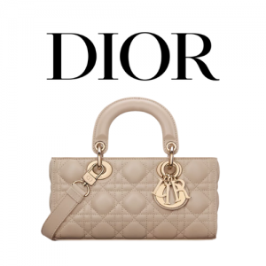 DIOR Lady D-Joy 스몰 백