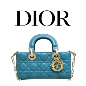 DIOR Lady D-Joy 스몰 백