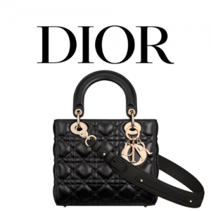 DIOR Lady Dior My ABCDior 스몰 백