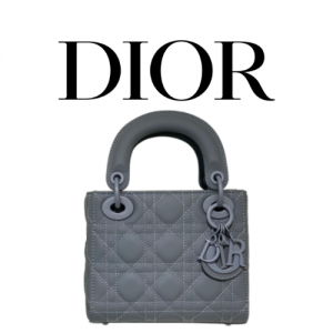 DIOR Lady Dior 미니 백