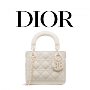 DIOR Lady Dior 미니 백